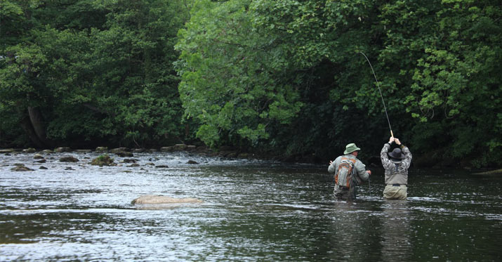 Guided Fly Fishing