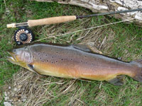4 lb 7 oz - River Wharfe Near Burnsall