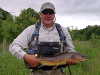 8 lb trout on a dry fly - Beat D